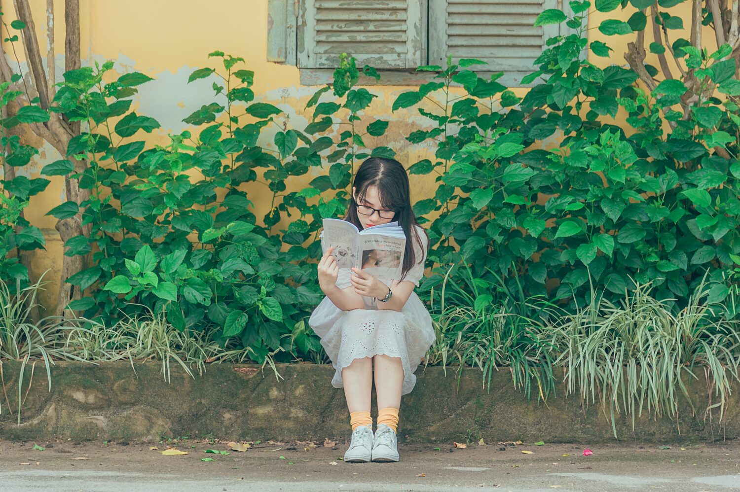 Books to Learn Korean fast